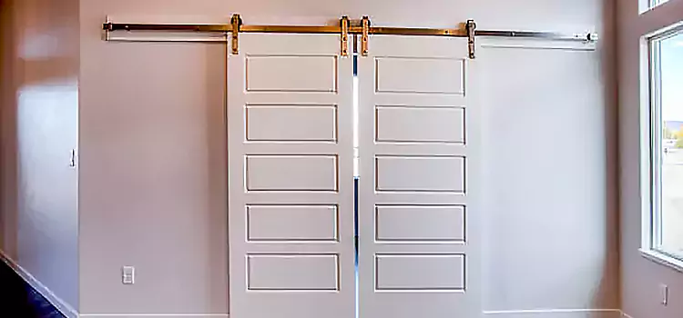 Glass Barn Door with Installation Hardware Kit Costa Mesa